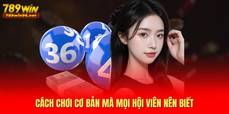 Cách chơi cơ bản mà mọi hội viên nên biết