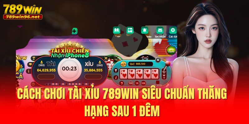 Cách Chơi Tài Xỉu 789WIN Siêu Chuẩn Thăng Hạng Sau 1 Đêm 1 Cách Chơi Tài Xỉu