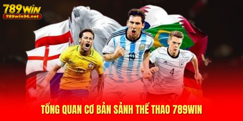 Tổng quan cơ bản sảnh thể thao 789WIN Tổng quan cơ bản sảnh thể thao 789WIN
